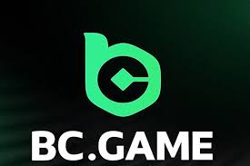 Exploring the World of BC GAME vc A Comprehensive Guide 1018262518