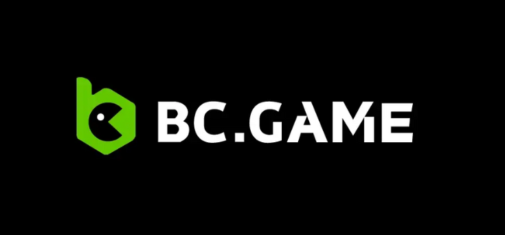 Exploring the Rich Features of BC.Game Hub
